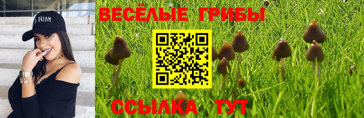 Псилоцибиновые грибы Psilocybe  Вход с VPN  Галлюциногенные грибы Psilocybe  Дербент 