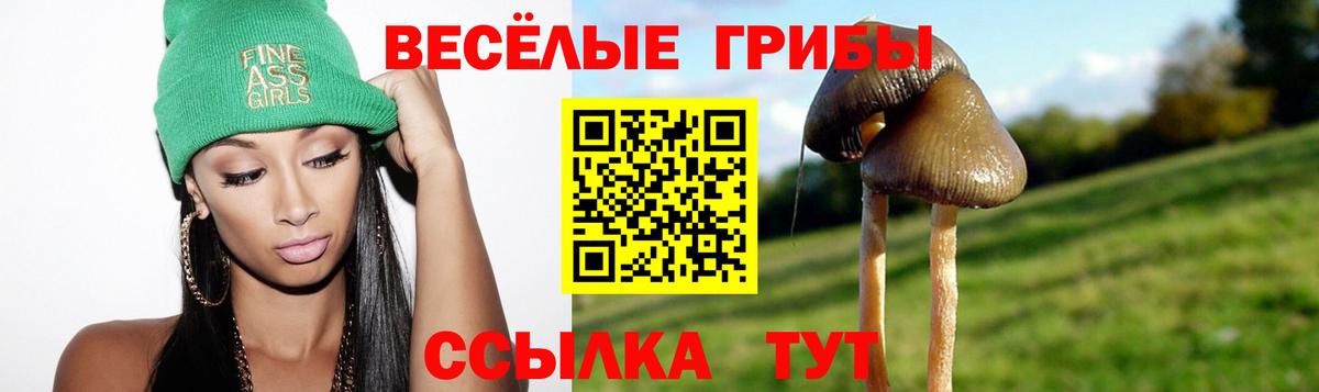 Псилоцибиновые грибы мицелий Дербент